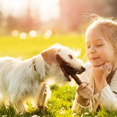Pets Can Boots Your Mood